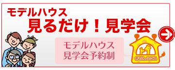 見るだけ見学会