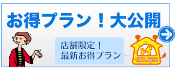 お得プラン大公開